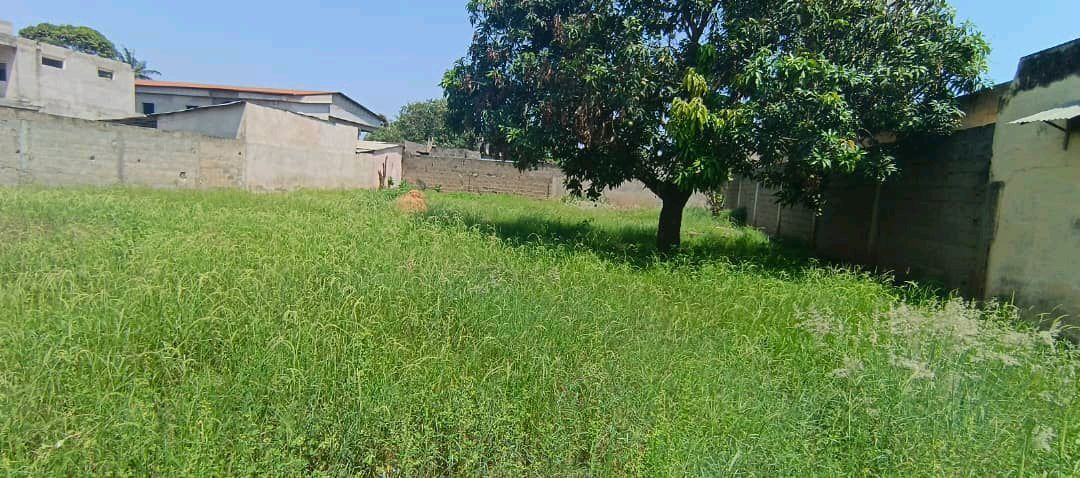terrain à vendre - annonce immobilière Gabon